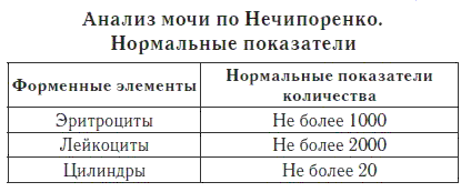 Анализ мочи и его точная расшифровка при заболеваниях почек